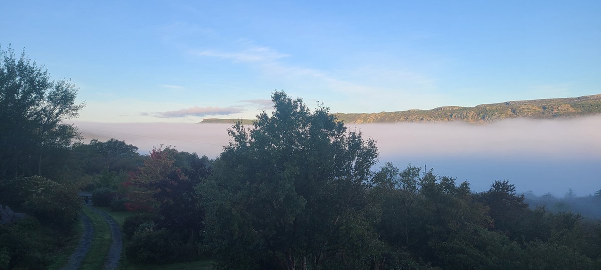 Jim Case tweet media