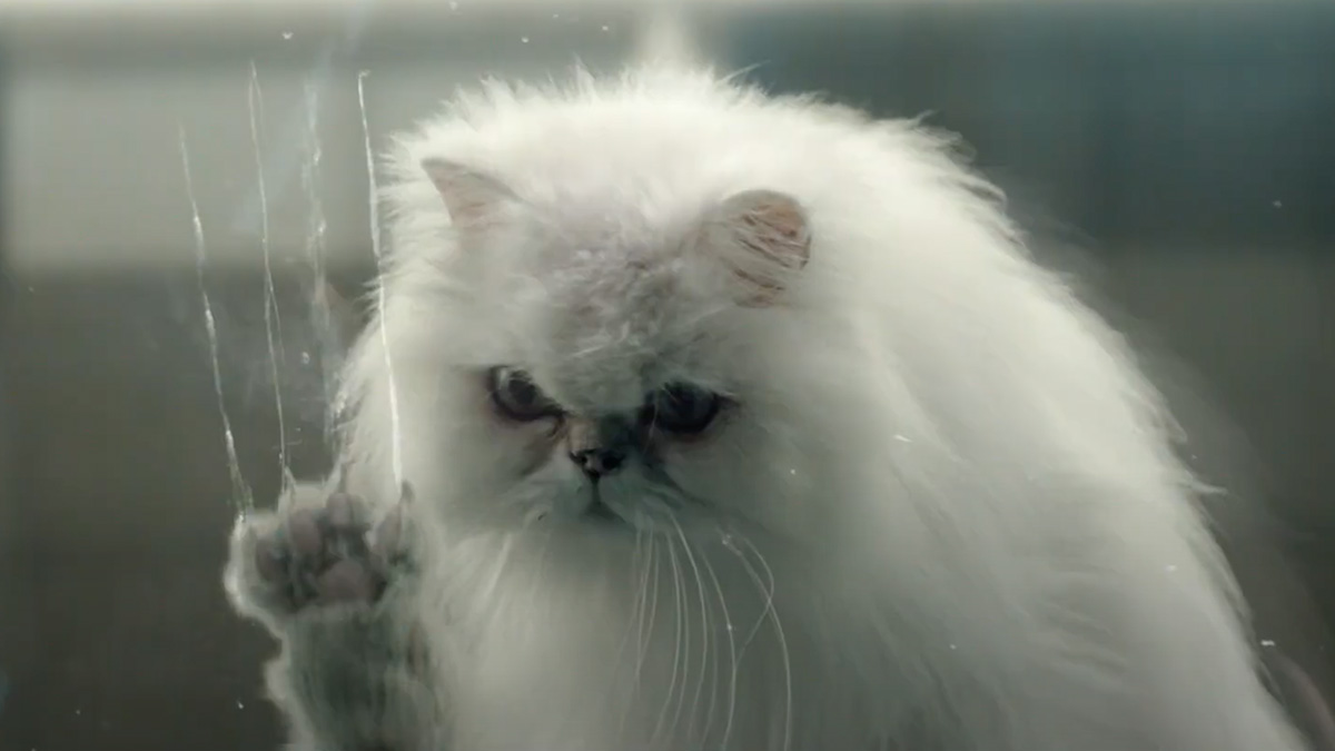 Eslogan Magazine on Twitter "Los gatos se rebelan en el divertido