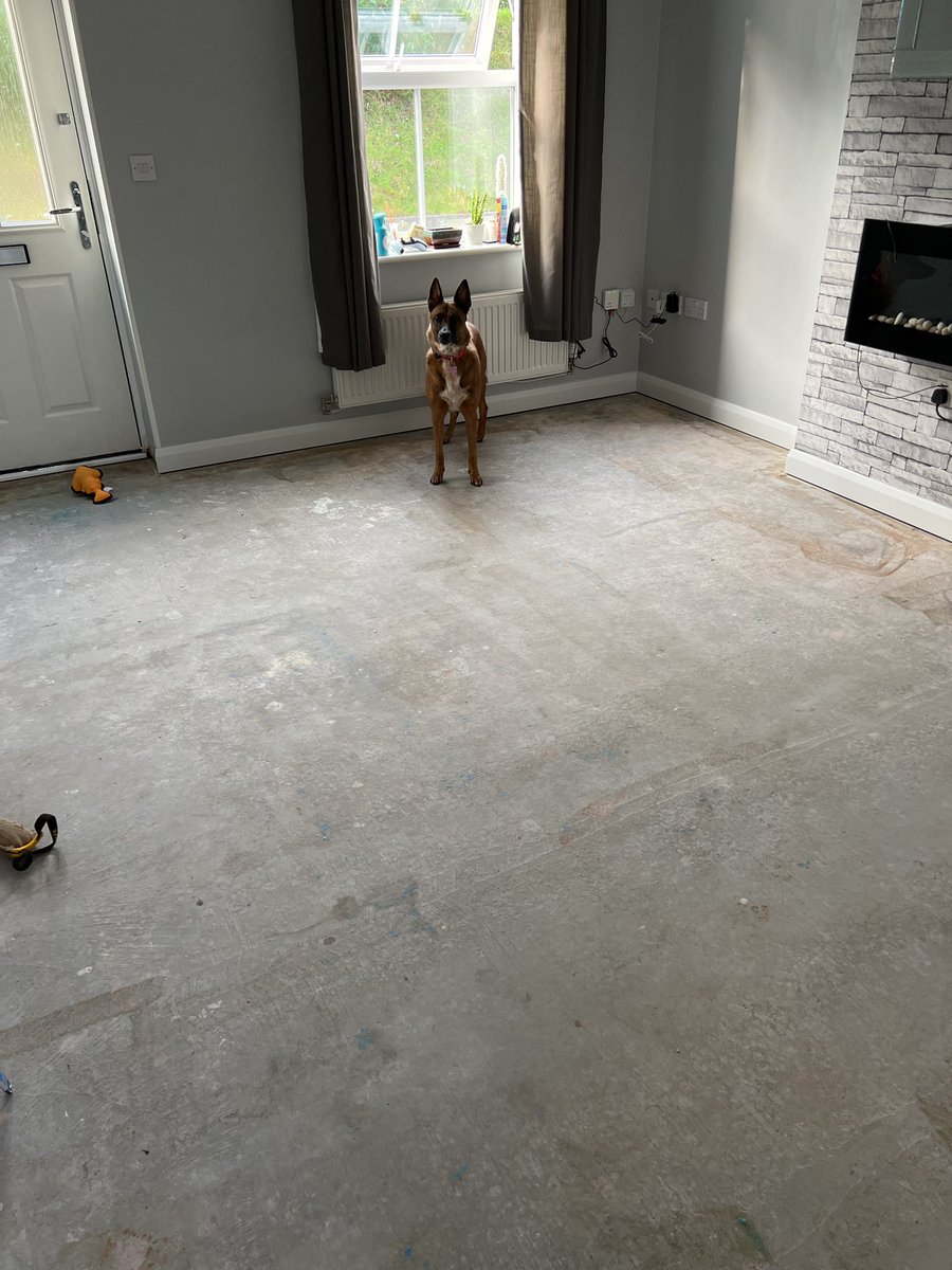 Ash Davidson tweet media