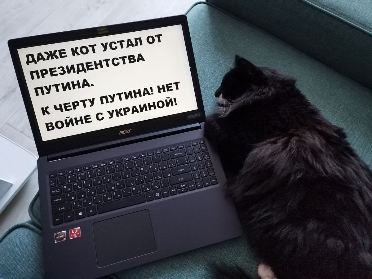 Дед вцепившись за свою никчемную жизнь собрался убить еще больше ни в чем не повинных людей. Катись в ад самостоятельно – говорит Тимофей
#НетВойне #КотикиПротивВойны