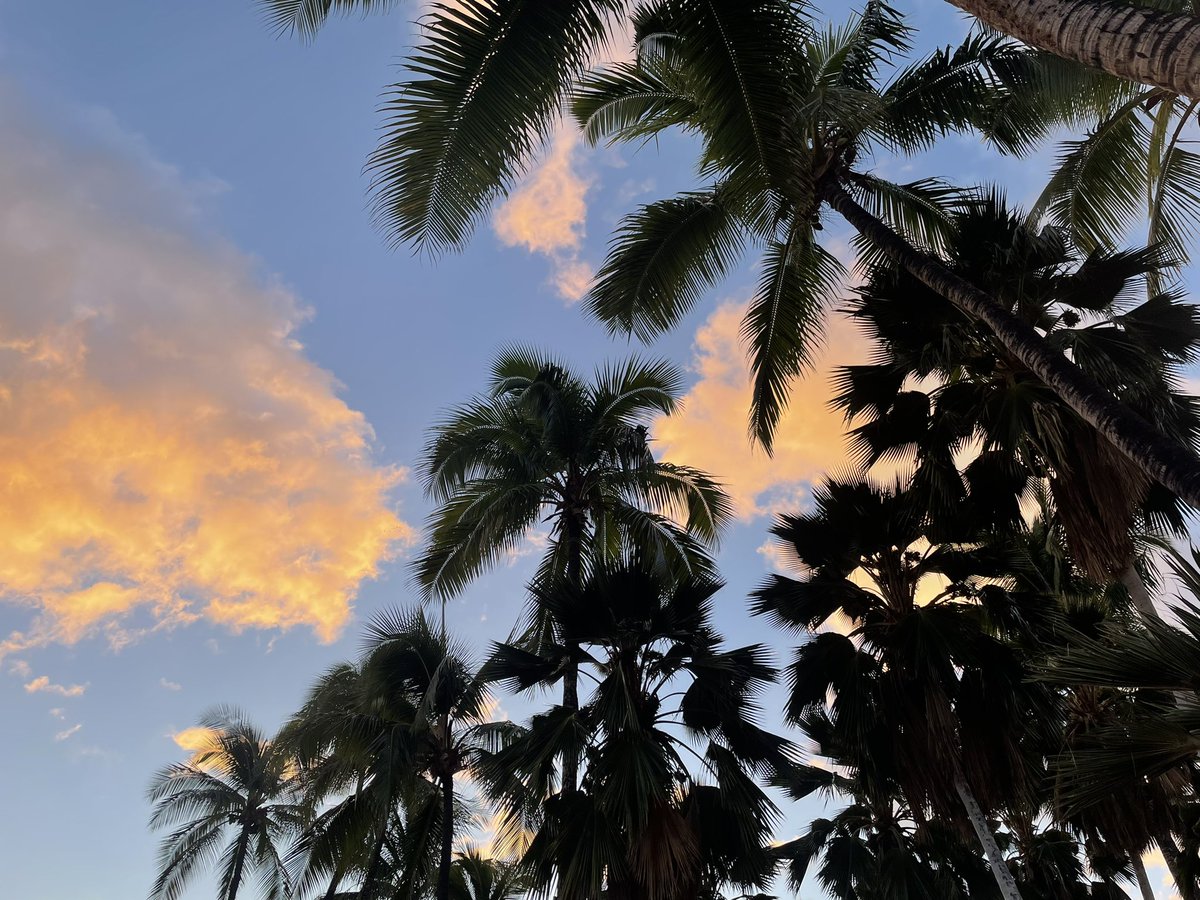 I’m very excited to get the chance to attend the #ILC4 and #cytokines2022 conference in Hawaii! Looking forward to a week of exciting talks and networking in this beautiful location ☀️
