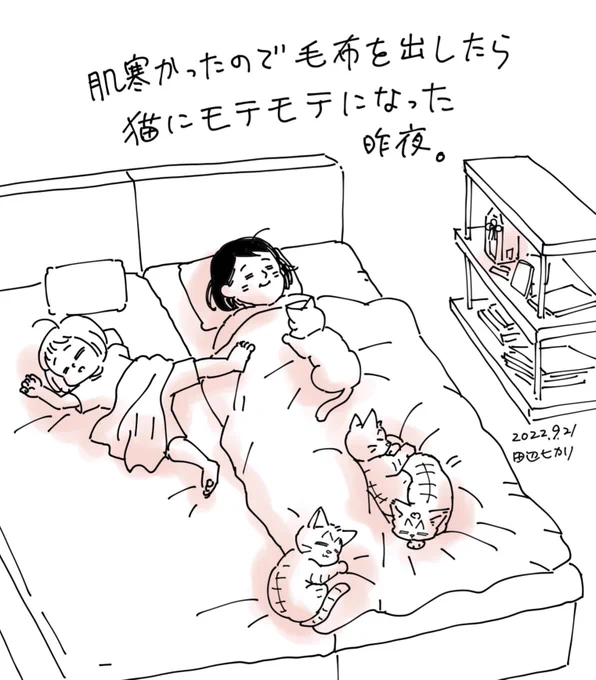 ちぃちゃんのことで、たくさんの方からメッセージをいただき、大変励みになりました。有り難うございました。
昨夜は冷えたので厚めの毛布を出したら猫達からモテモテになりました。寂しい気持ちの時、猫達の気配がすると癒されます。娘も同じようで、夜は猫と寝ると安心するみたいです😊
#絵日記 