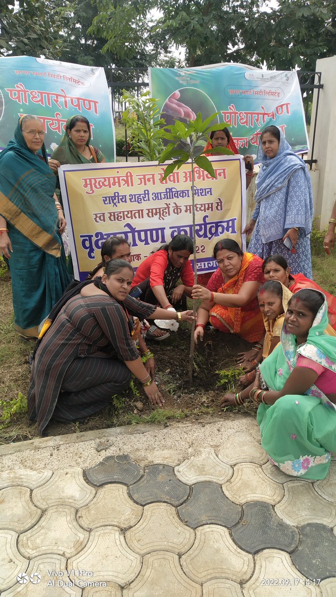 pmsvamp's tweet photo. मुख्यमंत्री जनसेवा अभियान के शुभारम्भ दिन 17 सितम्बर को नगरीय निकायों में  DAY-NULM के स्व सहायता समूह की महिलाओ द्वारा आम, आवंला, पीपल, नीम आदि प्रजाति के  29 हज़ार पोधो का रोपण किया गया है https://t.co/VEuOWJdm0Y
