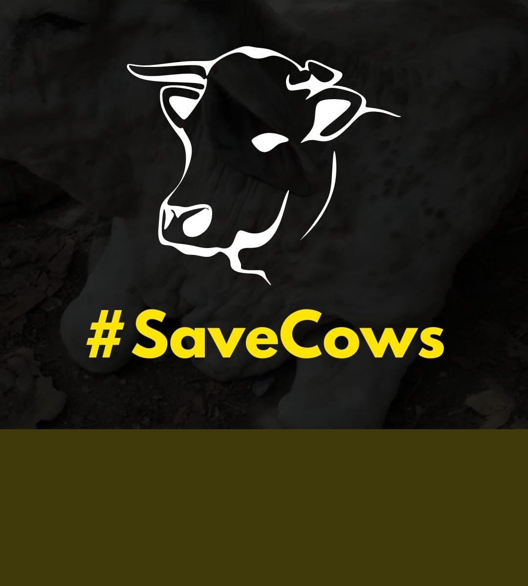 Annubhav_'s tweet photo. #SaveCows https://t.co/qQ79KFqLNS