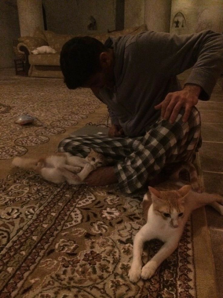 _S_A___2 tweet media