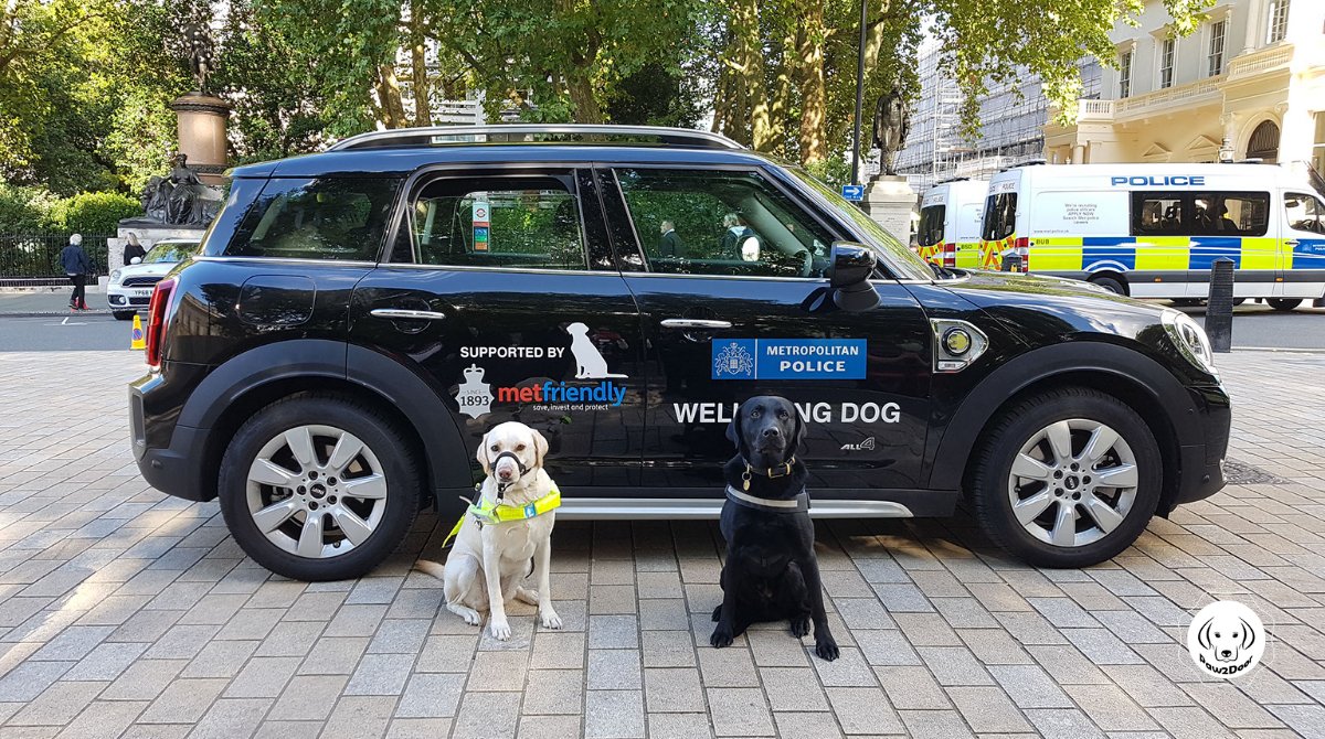 An absolute pleasure to meet a canine colleague working in London. <a href="/PD_DexterWBDOG/">PD’s Dexter & Mika - MPS Welfare & Trauma Dogs</a> provides vital welfare and trauma support to <a href="/metpoliceuk/">Metropolitan Police</a> 

<a href="/guidedogs/">Guide Dogs</a>