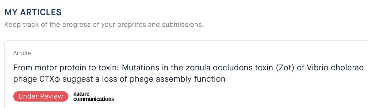 Sebastian Leptihn (@leptihnlab) on Twitter photo I am glad to see our study as a preprint (but also in review <a href="/NatureComms/">Nature Communications</a>!) in which we describe the function of Zot and Zot-like protein from two filamentous phages from Vibrio cholerae.
We are working on this project since 2016…researchsquare.com/article/rs-205… I am glad to see our study as a preprint (but also in review <a href="/NatureComms/">Nature Communications</a>!) in which we describe the function of Zot and Zot-like protein from two filamentous phages from Vibrio cholerae.
We are working on this project since 2016…researchsquare.com/article/rs-205…