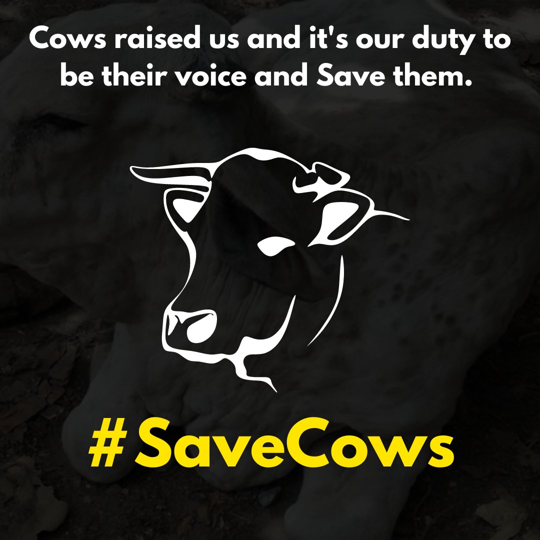 Jay_Ramnath_'s tweet photo. @BJP4India #SaveCows https://t.co/9R4l0N7b1P