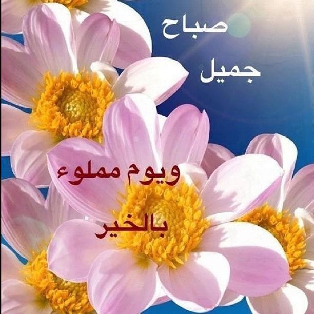 صباح الخير