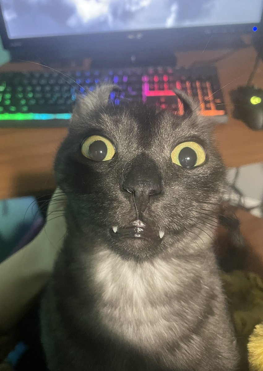 Meevin10's tweet photo. try and guess the show in the background https://t.co/jqvpW10Aqq