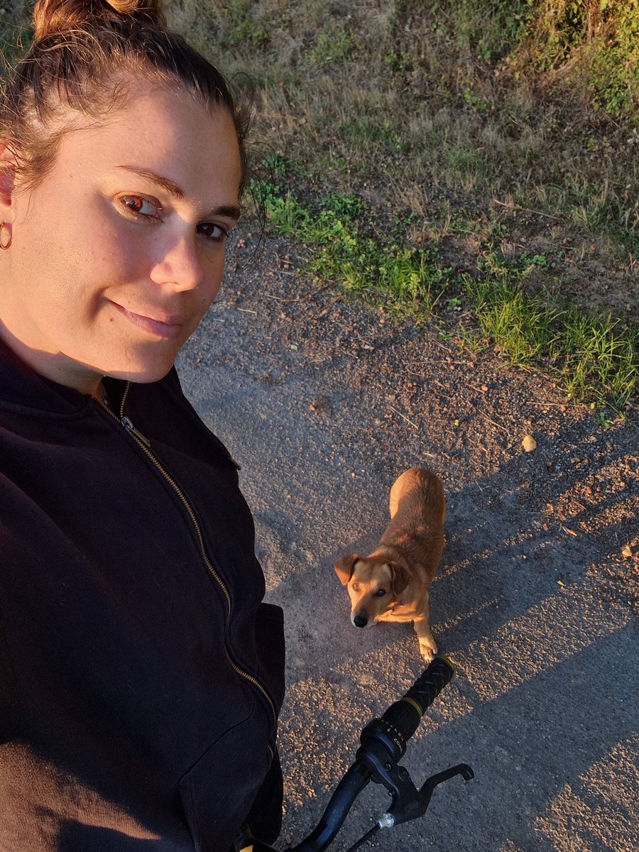 alicia_geffard's tweet photo. Balade à vélo avec Finesse 🐕
Balade du soir 🥰
Balade sur la voie verte
#voieverte
#JaiLaFibreEcoloGdt
#Gdt https://t.co/Ut5KYuE5lq