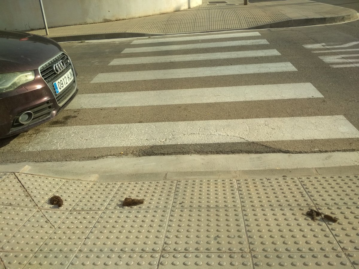 #gandianeta #gandiabonica #gandia