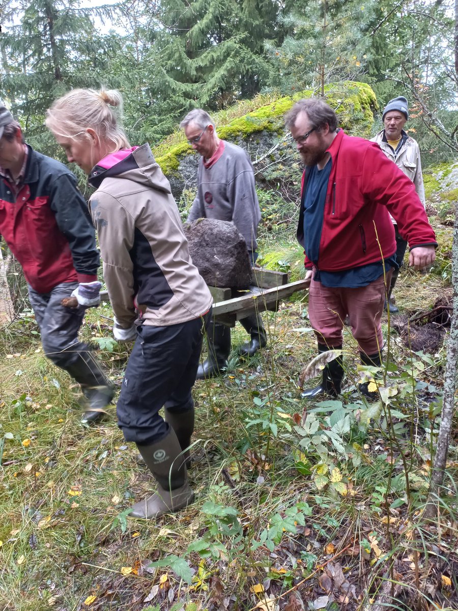 elinvoimak_EP's tweet photo. Restaurering av #småvatten vid kusten på Lillön i Iskmo, Korsholm. Stenläggning i en tidigare rensad bäckfåra i samband med gloet i Skinnarsund. Stenarna bars på en bår av trä. #Helmi #Helmiprogrammet #restaurering #Iskmo #NTMcentralen #Ostrobothniaaustralis https://t.co/4DSaFSYLxo