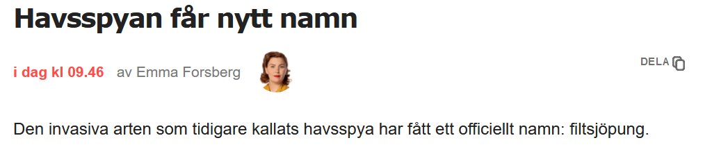 Huvudnyhet 21/9, 2022.