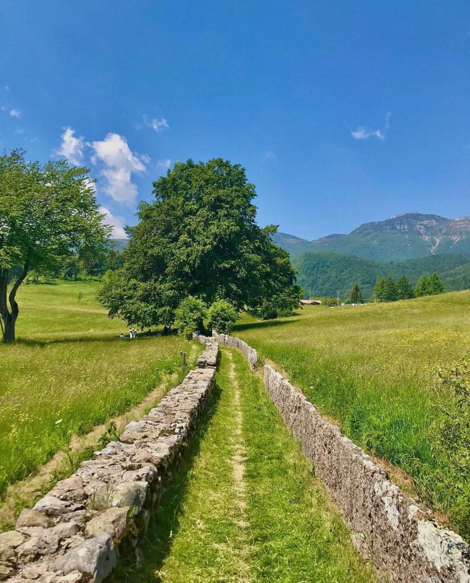 TurismoVeneto's tweet photo. Ampie distese verdi, natura sconfinata, pace assoluta: questo è il #SentieroExcalibur. Qui incontrerai antiche cave, un fortino, resti delle trincee della Grande Guerra ma anche un bosco di larici e un faggio secolare
👉https://t.co/IjgTSF2knH

#VisitVeneto #Tonezza

📷IG vevoome https://t.co/KS9sHXjxoR