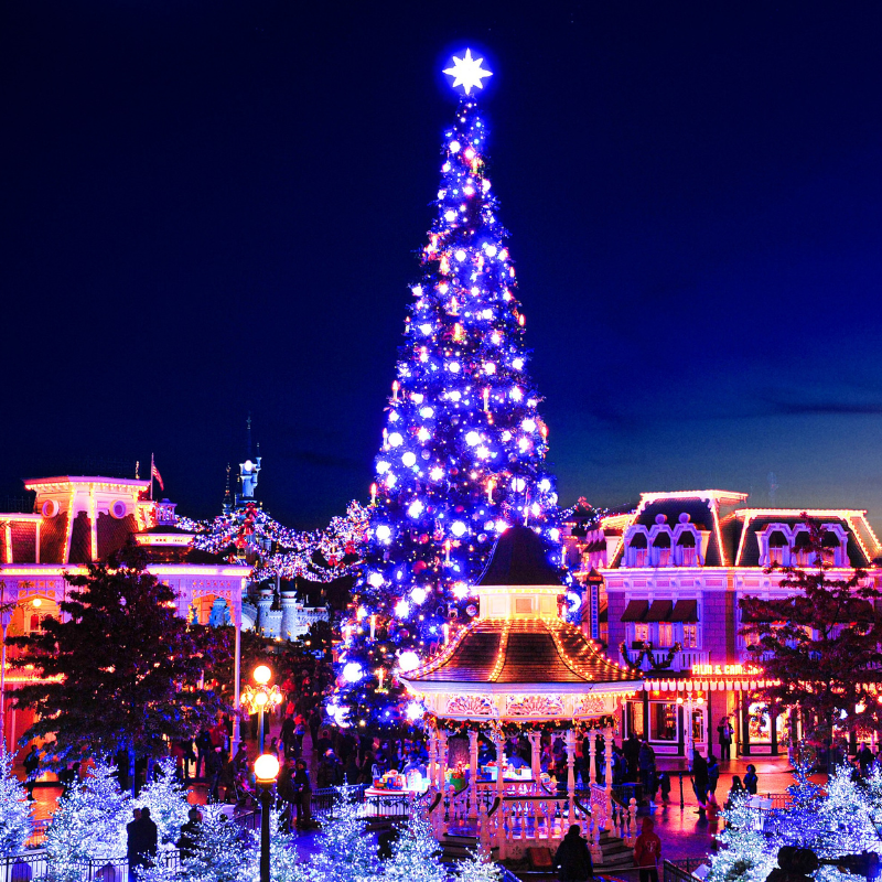 DisneylandParis's tweet photo. 🎄 Dès le 12 novembre, la magie du Noël Enchanté Disney brillera encore plus fort que jamais ! ✨ Avec un majestueux sapin, des spectacles étincelants et des décorations scintillantes… Qu’attendez-vous le plus ? #DisneyXmas https://t.co/UhwBLt472w