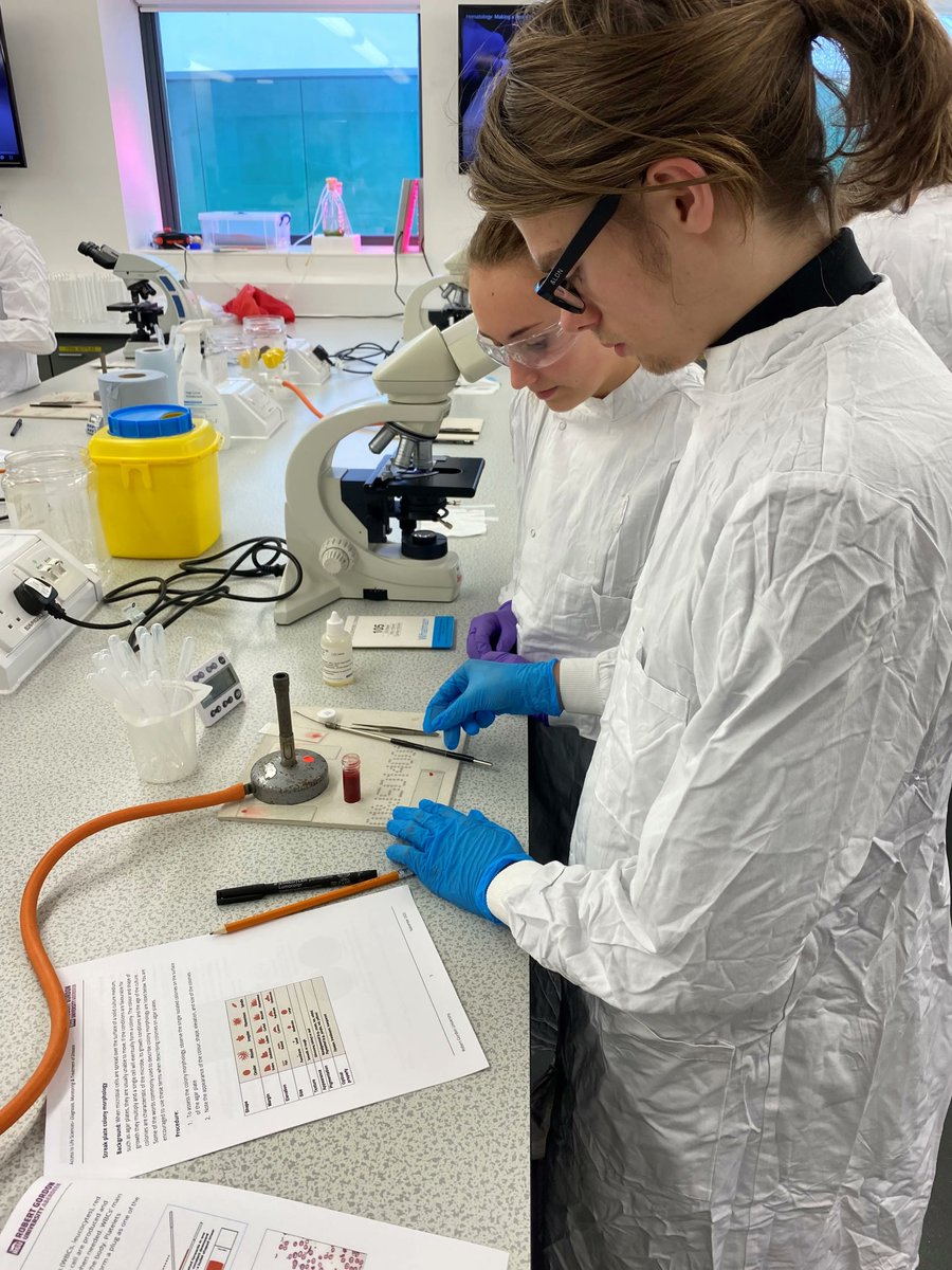 Pupils on #AccesstoLifeSciences @RGUPals did a “Diagnosis, treatment,and monitoring of disease” session.They had hands-on science making blood smears,assessing blood cell morphology,observing bacterial colony growth on agar plates &amp; did a Gramstain to see bacteria by microscope.