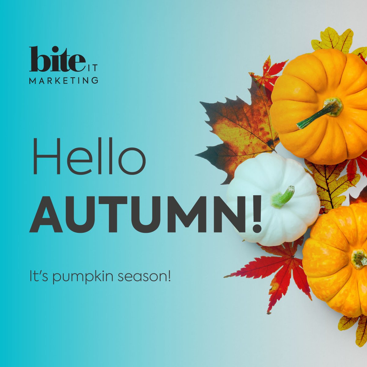 It's pumpkin season! #duvettime #pumpkinseason