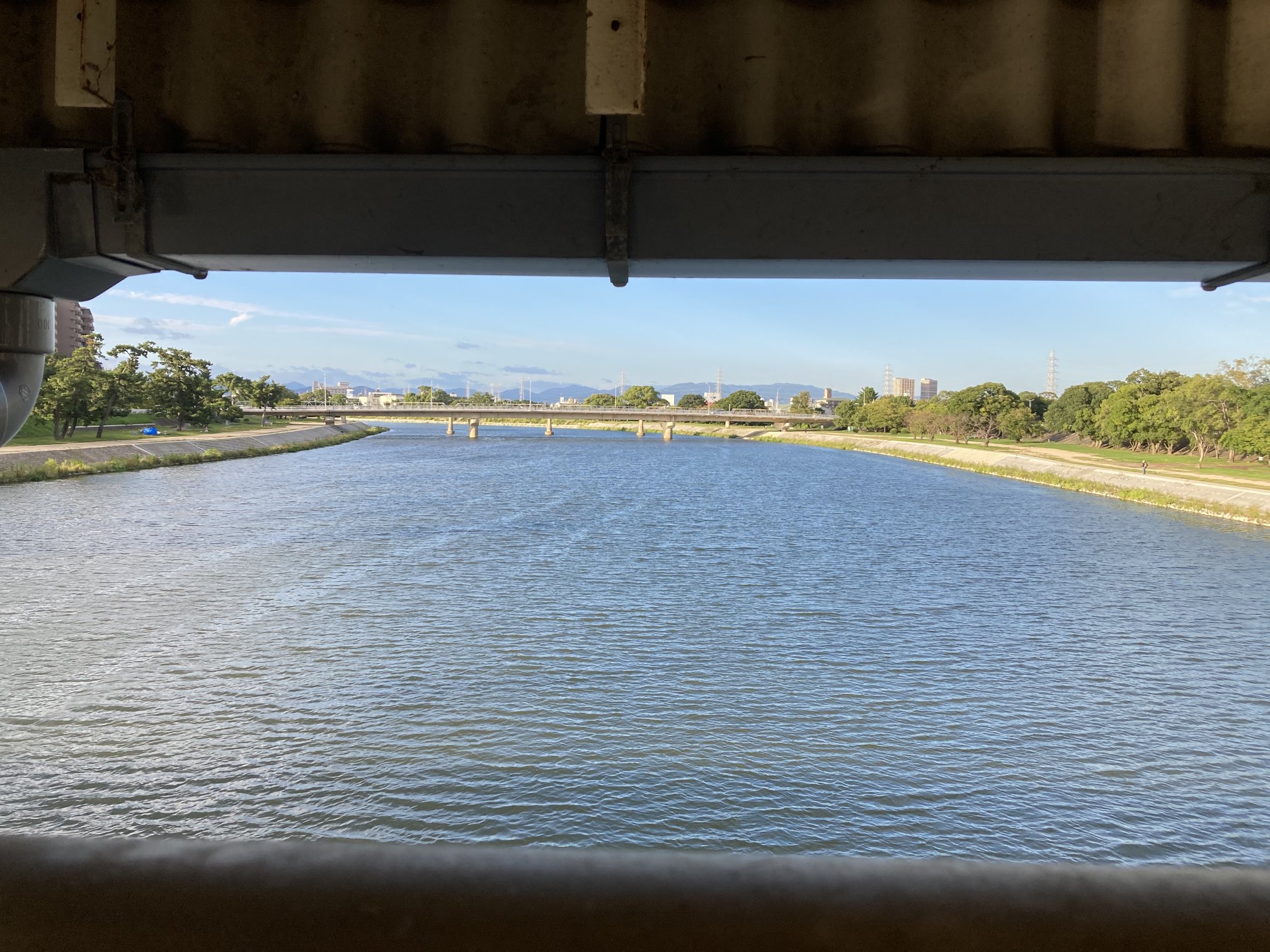 八上桐子 on Twitter