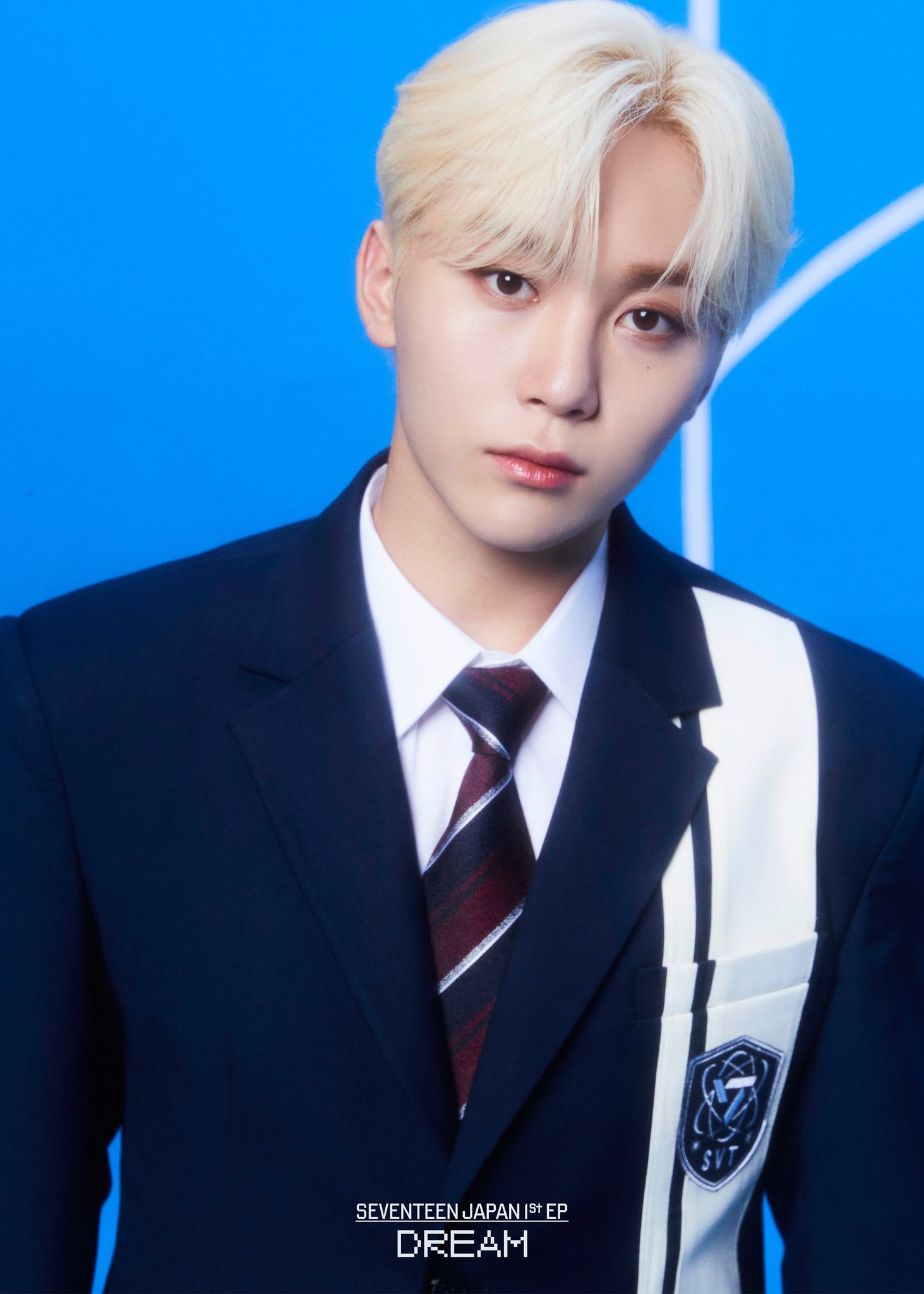 ウォヌ dream SEVENTEEN セブチ トレカ ラキドロ セット SEVENTEEN