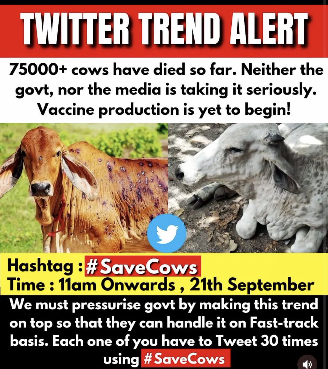 GowthamyCh's tweet photo. Join this trend friends. Everybody tweet atleast 30 times. #savecows #GauMaataBachao @narendramodi @AmitShah https://t.co/ymydCgk0kO