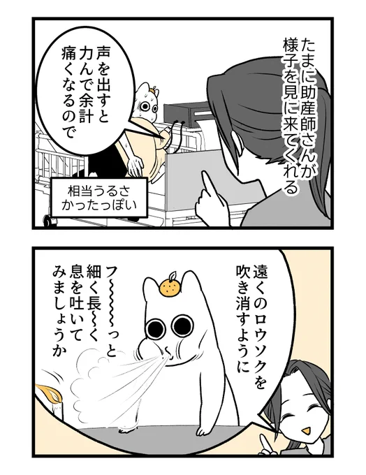 【第四章】つわりが怖くて2人目に踏み切れない話～出産編～(11/n)

#漫画が読めるハッシュタグ #創作漫画 #出産 