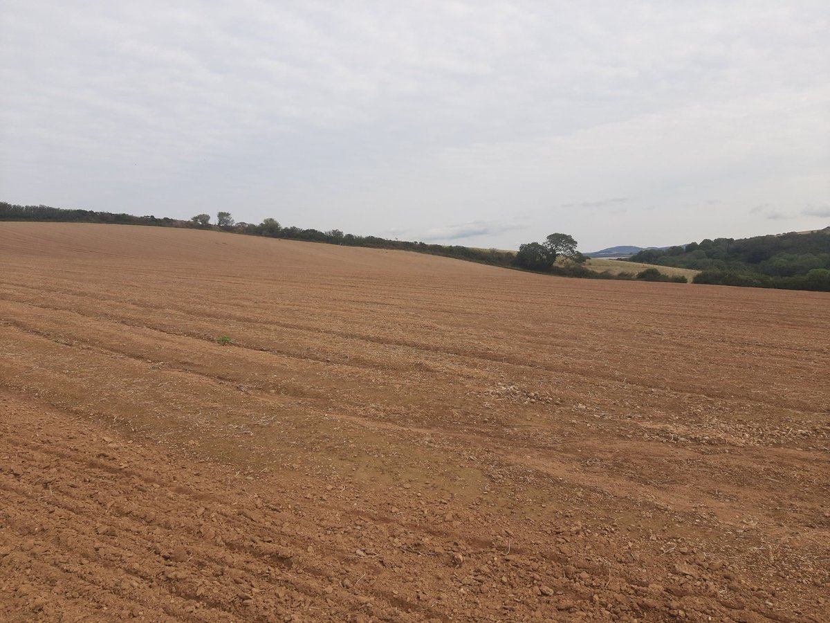 Ian Davis tweet media