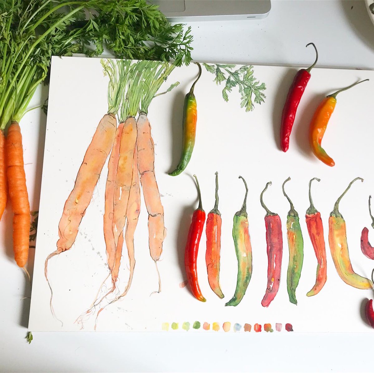 ValerianStudio's tweet photo. My desk is looking extremely appetizing today. These veggies are in progress as part of a study on #autumnal produce. Carrots and chillies are key ingredients in my favourite soup recipe, which I practically live on at this time of year. 

#fooddiary #comebacktocolour #illo #art https://t.co/NXpxhi08uu