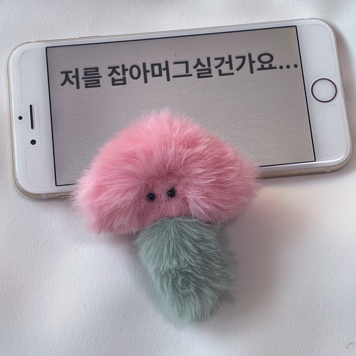 털핑이가 세상을 지배한ㄷㅏ、、、✌🏻