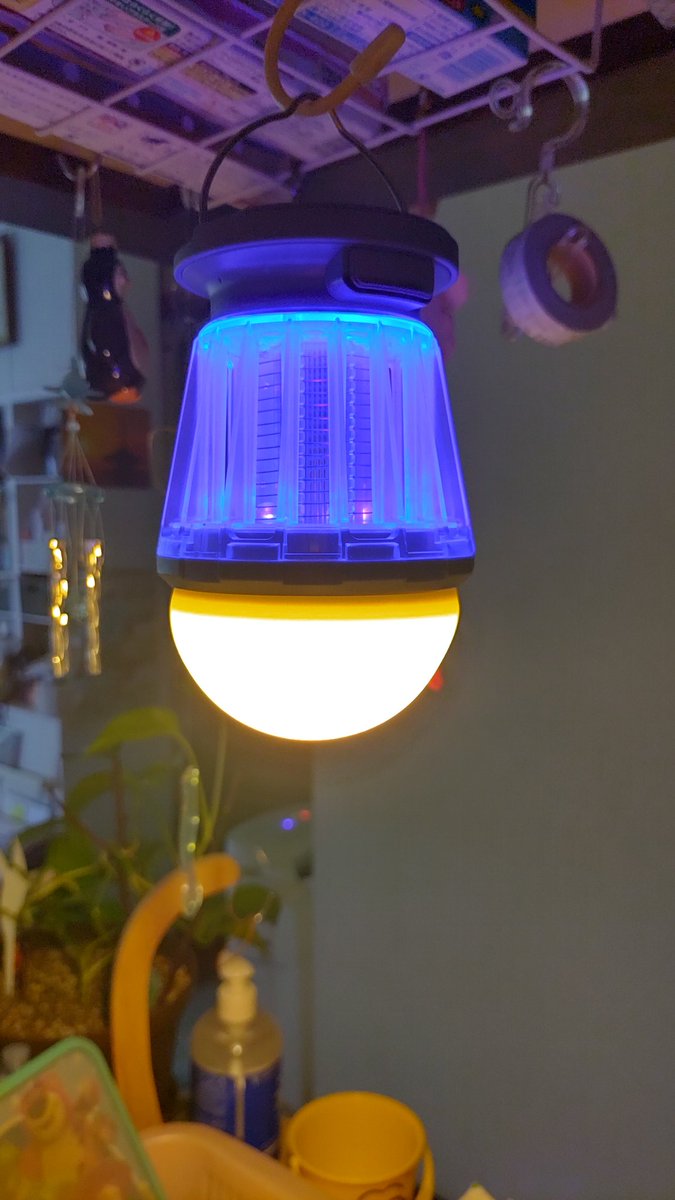 Dora1919Lovely's tweet photo. ネットで買ったソーラーモスキートンランタン💡うーん❣️いい感じ💞💡
#RIOSOL https://t.co/L0k9A0fuks