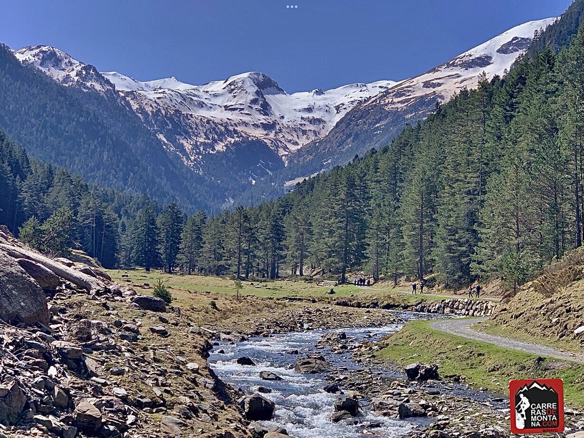 mayayo oxigeno tweet media