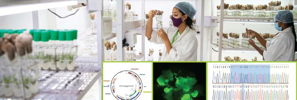 BioNcube of ICRISAT tweet media