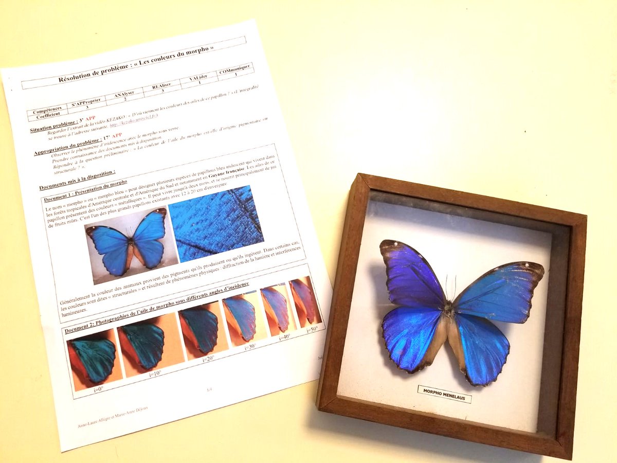 AnneDejoan's tweet image. 🦋🧐Les couleurs interférentielles en terminale illustrées par la résolution de problème Les couleurs du morpho, élaborée avec mon amie et binôme Anne-Laure Allègre!
#PhysiqueChimie #Terminale #RésolutionProblème
physique-chimie.dis.ac-guyane.fr/Resolution-de-…