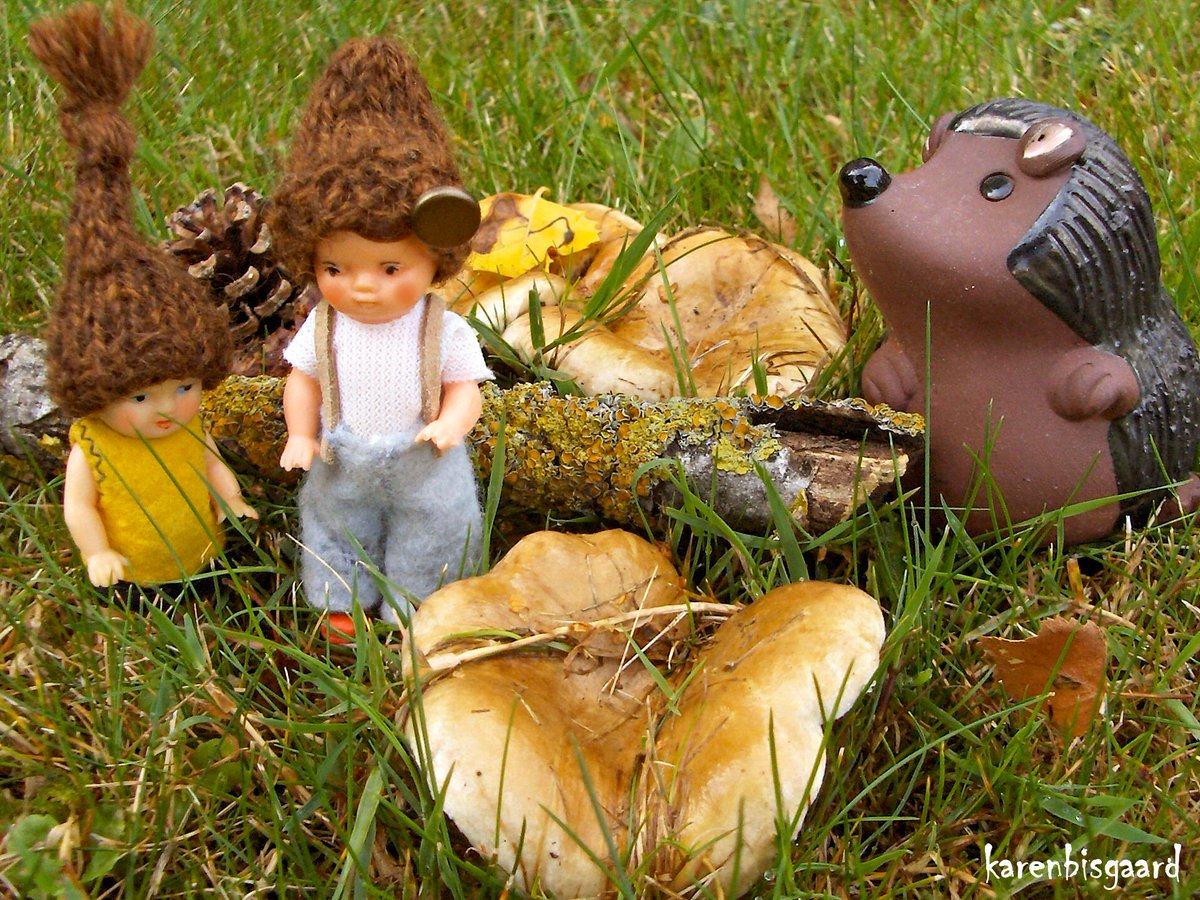 KarenBisgaard1's tweet photo. https://t.co/XfuptbOHr8
#forestgnomes #hedgehog #phantasy #mushrooms #dolldisplay #autumn https://t.co/Uaii6rnGwl