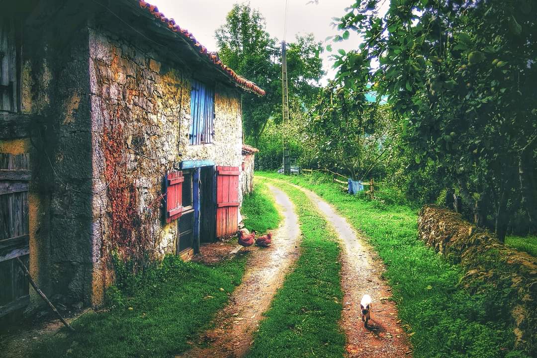 Turismo_Bimenes's tweet photo. Estampes de pueblu....

#bimenes #rural #comarcadelasidra #asturies 💙💛 https://t.co/uBmwnAsS8b