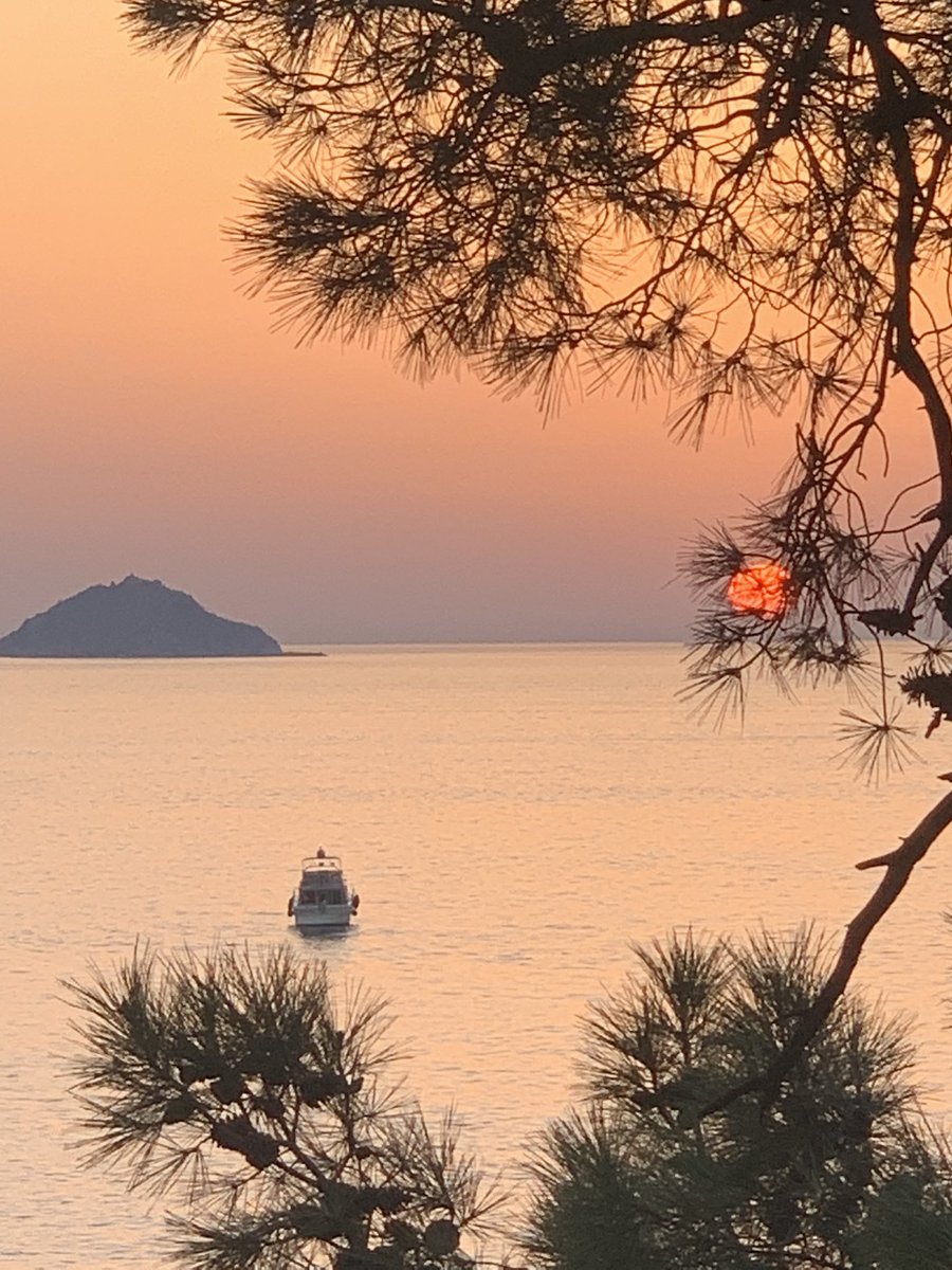İnsanların az kısmı bakar
Bakanların az kısmı görür
Görenlerin az kısmı öğrenir
Öğrenenlerin az kısmı anlar
Anlayanların az kısmı anlamlandırır

“Yaşayanlar” bu anlamlandıranlar arasından çıkar

Hayatta olmak, ömür sürmek başka şey, “yaşamak” başka şeydir

#Penceremdenİstanbul