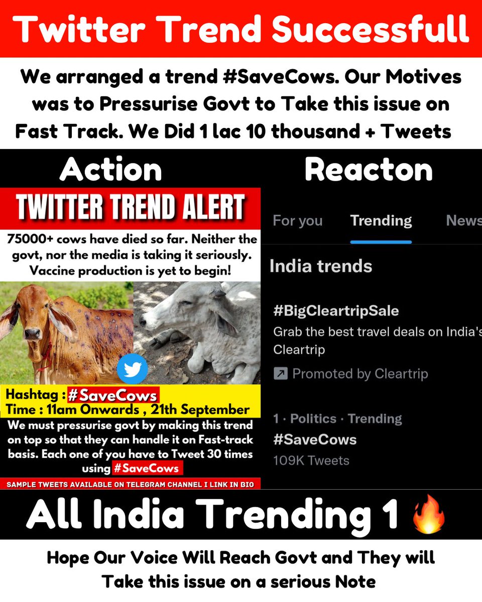 jai_rry's tweet photo. We did it 
#SaveCows trending at Number 1 
Kudos to everyone who did their part

Gau mata ki jai ho 🙌
Jai Shree Ram 🙏 https://t.co/g7MuS3CS1u