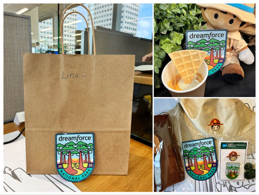 linayongln's tweet photo. Afternoon treats 🍨, Watch parties 🇸🇬, Great content on Salesforce+ , and a bagful of #DF22 SWAG! 🥳 https://t.co/vDprTzcL7p