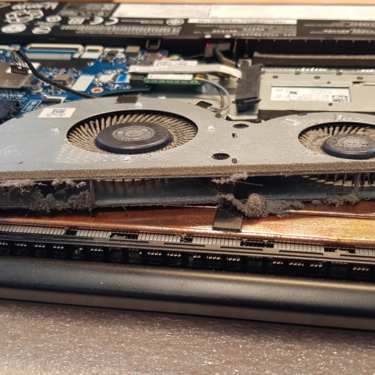 LaptopFixBerlin's tweet photo. Laptoplüfter NIEMALS mit Druckluft, immer mit dem Staubsauger reinigen. Selbsterklärung durch Bilder anbei.

#laptopfix #lüfterreinigung #hardware https://t.co/oa2jZuqwxq