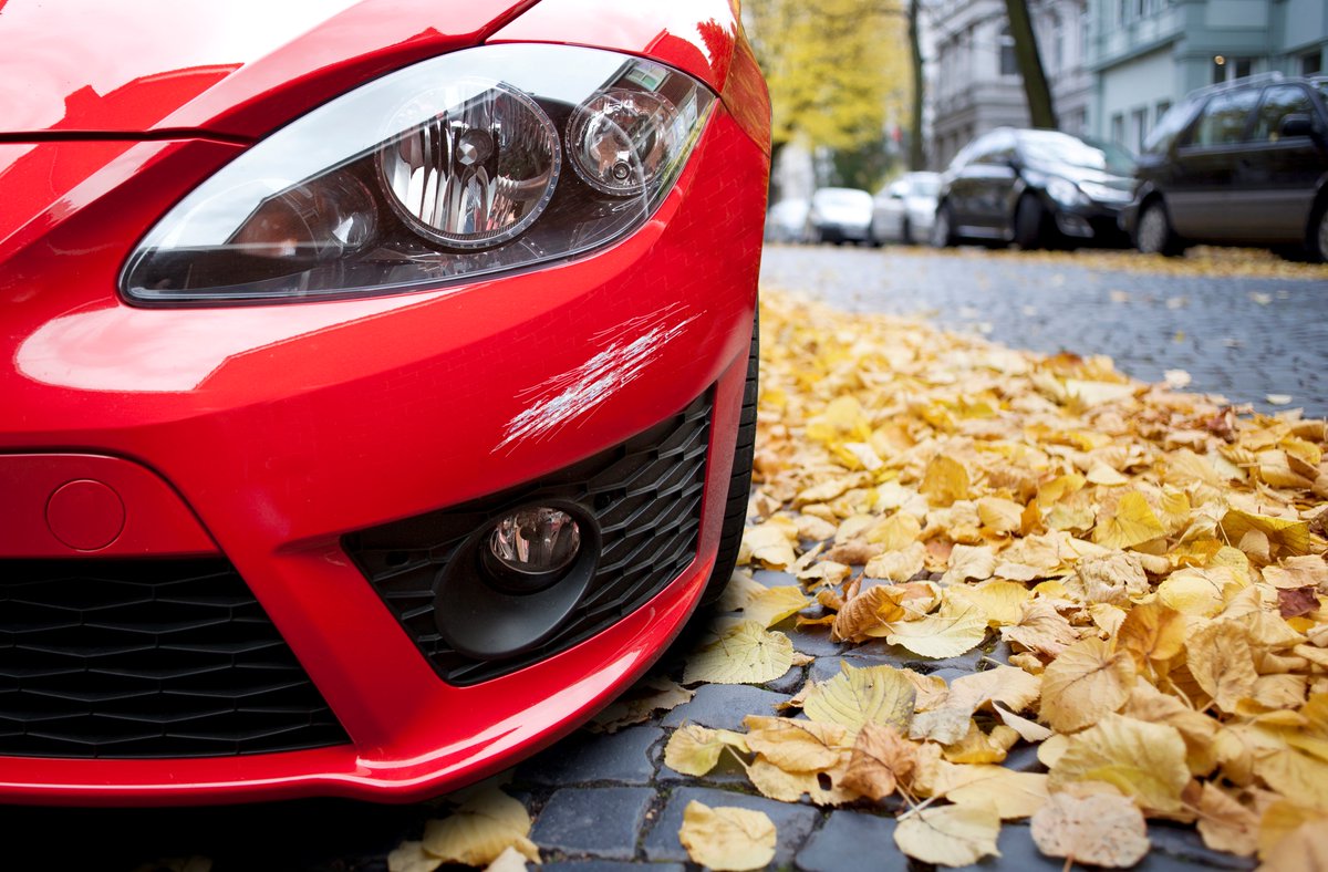 As the leaves change and the air begins to feel crisper, Autumn is only a couple of days away 🍂 If you notice car body damage on your car this Autumn, it's best to get it repaired as soon as possible to avoid further complications and costs 🧧 chipsaway.co.uk/free-estimate