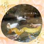 ツイートに含まれる画像