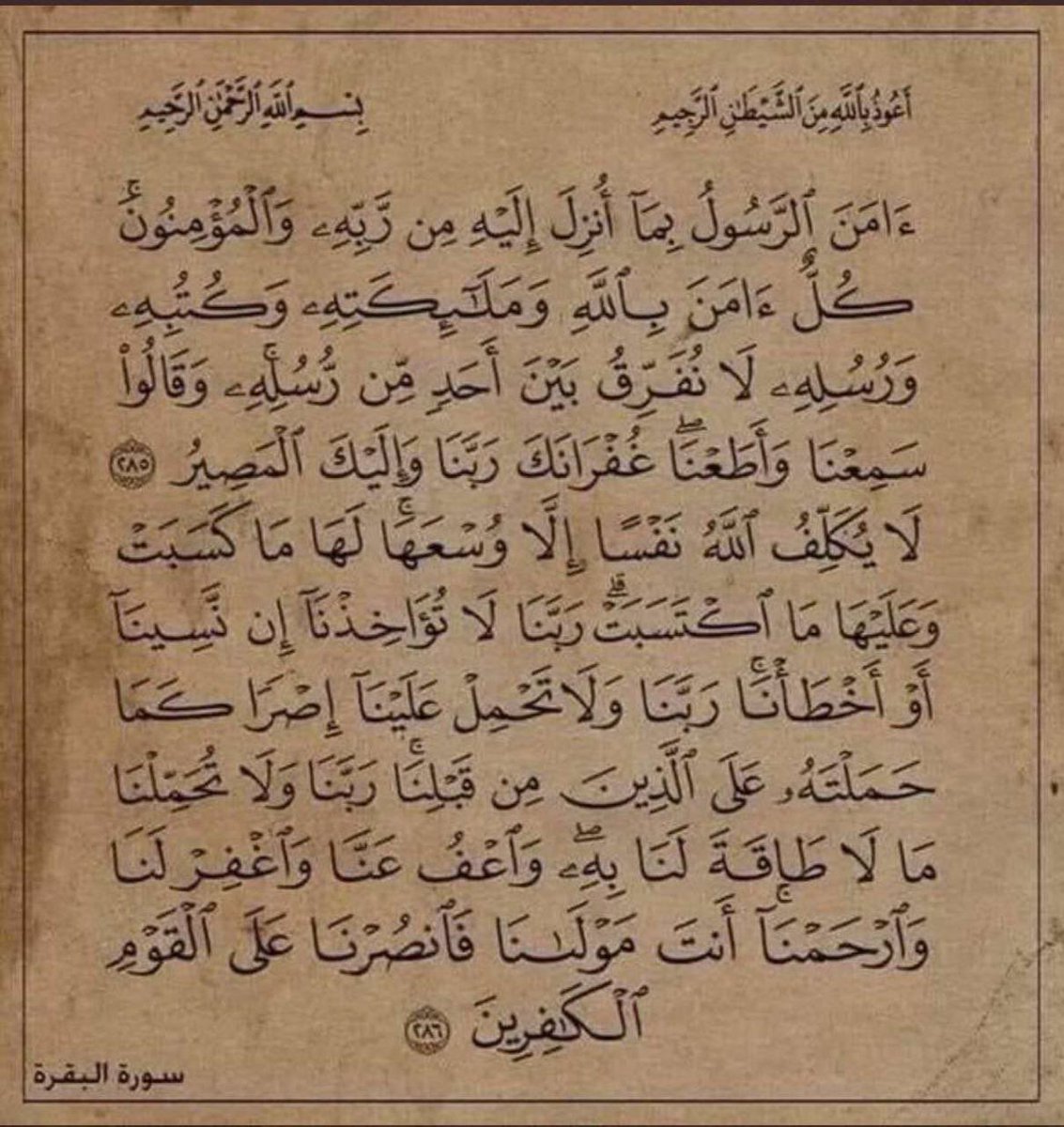 مـــلاذ السُّلمي tweet media