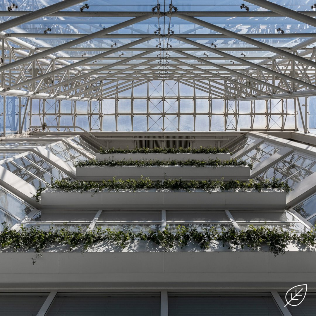 If you have the vision, we have the ambition. #TeamPlantPlan can deliver and maintain so you don't have to! 🟩🌿🌴

Get in touch and ask about our rental plans!

#Officedesign #Officeplanting #Interiordesign #Biophilia #Plantingdesign