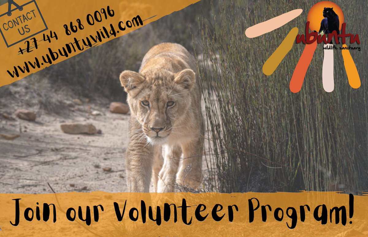 Ubuntu Wildlife Sanctuary tweet media