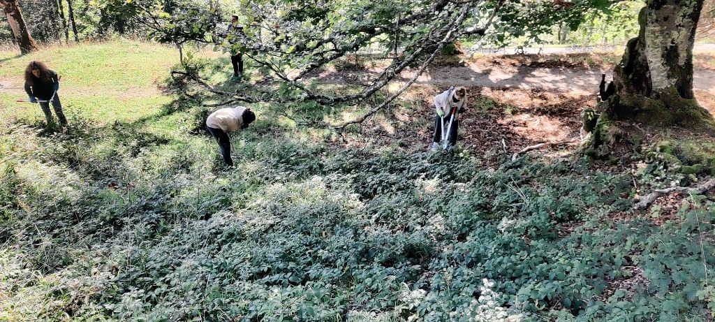 PChasseral's tweet photo. 🌳🌲 CHANTIER NATURE 👏👏
Deux classes du @gymnasiumbielseeland sont présentes de lundi à jeudi dans le #ParcChasseral pour aider les bourgeoisies de Vauffelin et d'Orvin à l'entretien de prairies et de pâturages secs
#biodiversite #parcssuisses #vauffelin #orvin https://t.co/GeJRmwuAv2