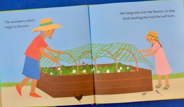 JillBennett18's tweet photo. #RedReadingHub’s #nonfiction book of the day is #deborahchancellor @julia2groves #picturebook #GrannyPipgrowsfruit @Scallywagpress https://t.co/WVBrPgzUHf https://t.co/8yjJdVln6n