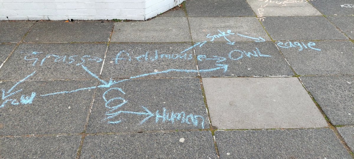 missmuirbiology's tweet photo. S3 Biologists demonstrating theor understanding of food chains and food webs! Great work #whatlearninglookslike #ambition #outdoorlearning https://t.co/UjPFYdS6CJ
