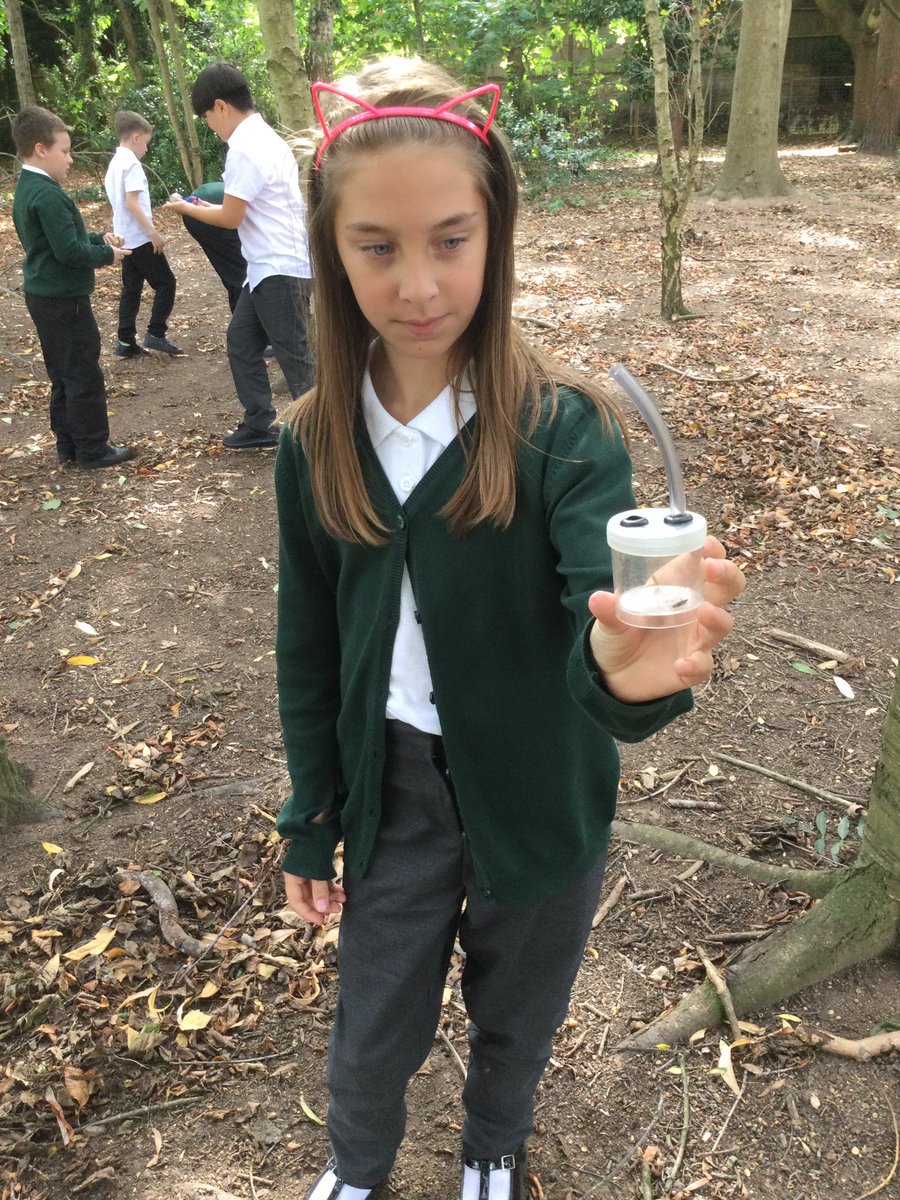 WarstonesYear5's tweet photo. Yesterday we went on a minibeast hunt around the school grounds. The children were not only excellent hunters but they were fearless in discovering the many critters we have hiding in their natural habitats! 🐛🌿🪱🐞🪵🕷#Science #Geography #YearFive #BeastCreator @WarstonesP https://t.co/DP1r77rpJZ