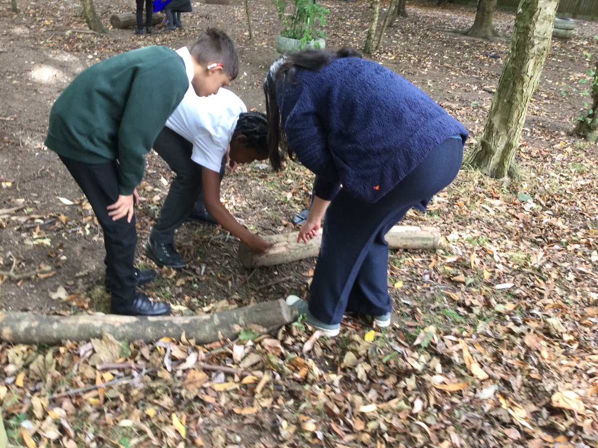 WarstonesYear5's tweet photo. Yesterday we went on a minibeast hunt around the school grounds. The children were not only excellent hunters but they were fearless in discovering the many critters we have hiding in their natural habitats! 🐛🌿🪱🐞🪵🕷#Science #Geography #YearFive #BeastCreator @WarstonesP https://t.co/DP1r77rpJZ