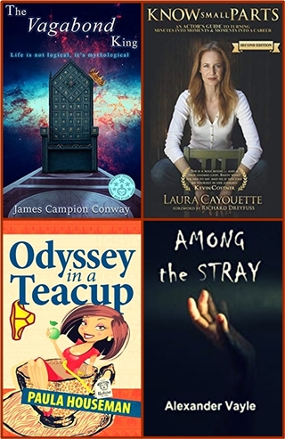 HillHamilton's tweet photo. #readingcommunity here are four #TBR titles from #authentic #authors, follow them, read their #Books give them a #writerslift &amp; #booktwt 
@campion_conway @KnowSmallParts @PaulaHouseman @AlexanderVayle https://t.co/IDxJlrGIaP